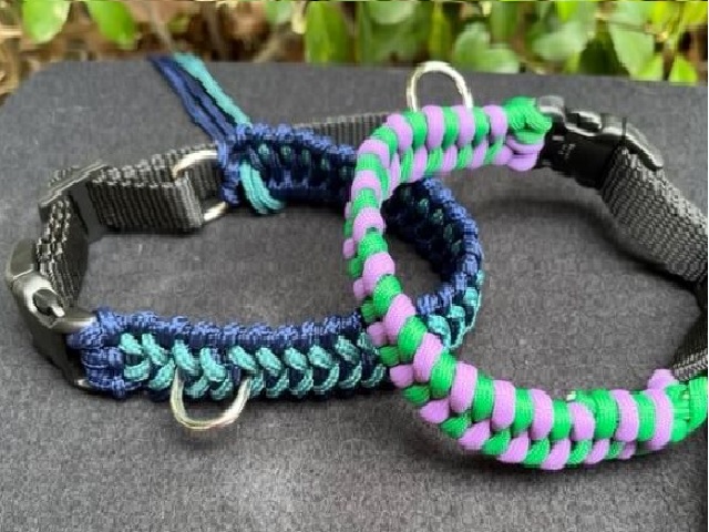 Collar