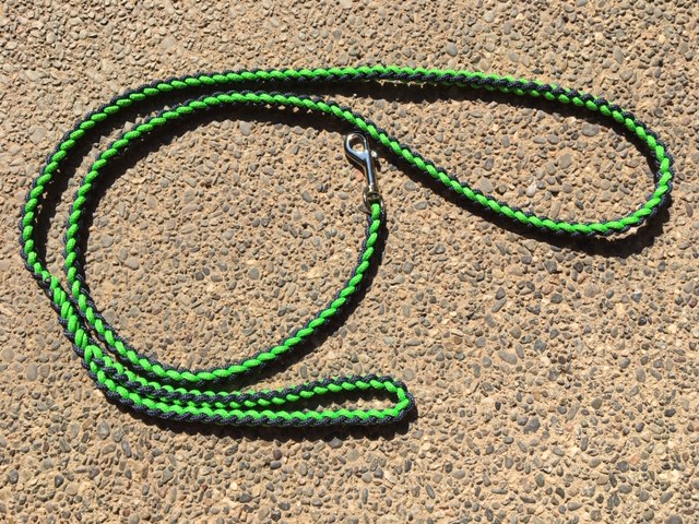Leashes