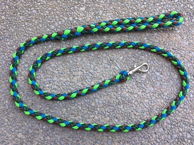 Leashes