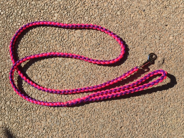 Leashes