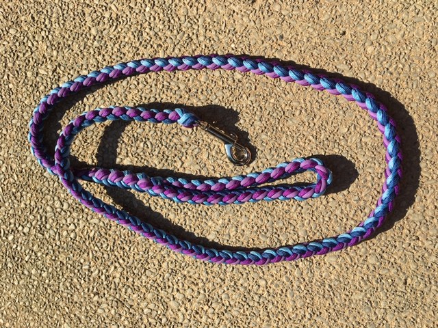 Leashes